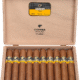 Cohiba | Ambar