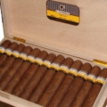 Cohiba | Maduro 5 Genios