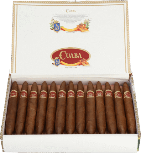 Cuaba | Exclusivos