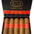 Partagás | Serie D No. 6