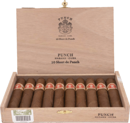 Punch | Short de Punch