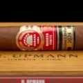 H. Upmann | Magnum Finite Edición Limitada 2024