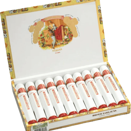 Romeo y Julieta | Romeo No. 2