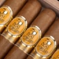 凯卓赛 | Especial d’Orsay
