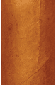 Oliva | Flor de Oliva Gold Robusto