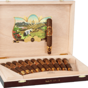 Oliva | Serie V 135 Aniversario
